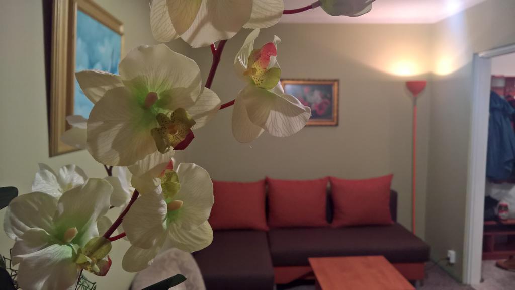 Apartament Konopnicka Augustów Εξωτερικό φωτογραφία